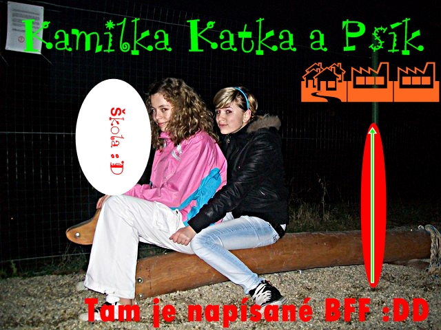 mf_369936462_430f8f8ad31be719d755df04553c5022